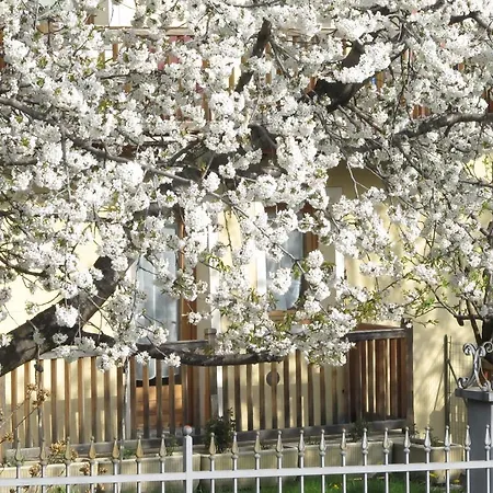 דירה Casa Seez סיינט-פייר